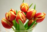 BDS-Spot zum Valentinstag 2006. Zum zweiten Mal bietet KAHLSDORF + PARTNER den BDS-TV-Spot zum Valentinstag an. Es handelt sich bereits um den sechsten BDS-Gemeinschaftsspot und die Nachfrage ist ungebremst hoch. Fernsehwerbung zum Festpreis. Bei KAHLSDORF + PARTNER Werbeagentur Hamburg durch eigene Filmproduktion besonders günstig. Die Übertragung erfolgt auf dem Norderstedter TV-Sender noa 4 (Norderstedt on air) zu interessanten Sekundenpreisen. Knallhart kalkulierte Angebote zu günstigen Konditionen für Werbespots, Webdesign und Flyer finden Sie auf den Angebotsseiten der K+P Werbeagentur Hamburg. Kurzentschlossene haben noch die Möglichkeit sich einen der begehrten Plätze zu sichern. Rufen Sie uns an unter : 0 40 / 5 22 30 88 Bisher produzierte BDS-Spots können Sie sich hier ansehen.