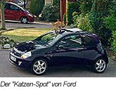 nur noch schwer im Web zu finden: Ford Katzen-Spot